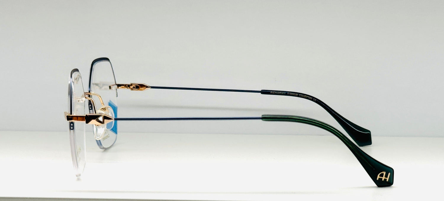 Occhiali da vista Ana Hickmann AH1492T 12A cal.55 ponte 16 asta 143